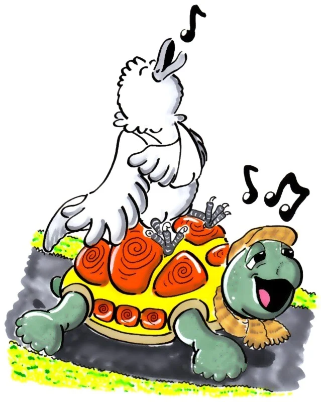 The Flying Tortoise