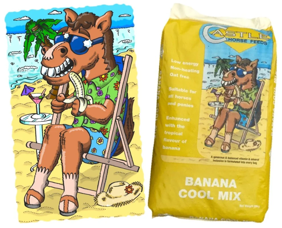 Branding, marketing & packaging